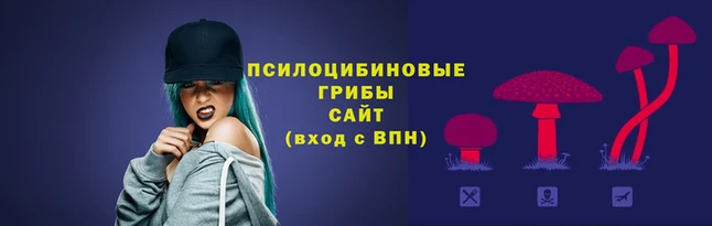 твердый Тавда