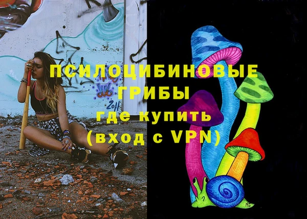 mdma Тайга
