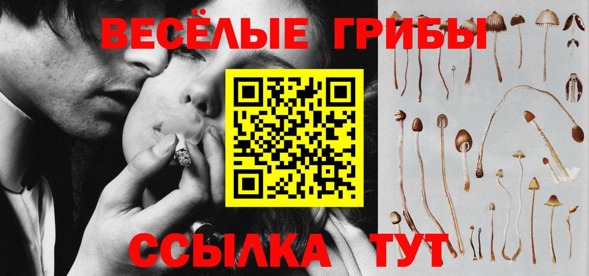 Псилоцибиновые грибы мицелий Калач-на-Дону