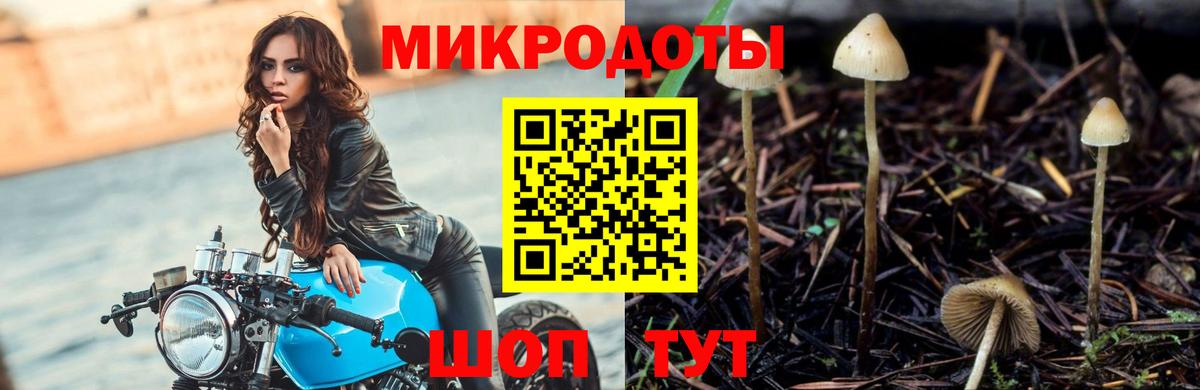 Псилоцибиновые грибы Psilocybe  Вход с VPN  Калач-на-Дону 