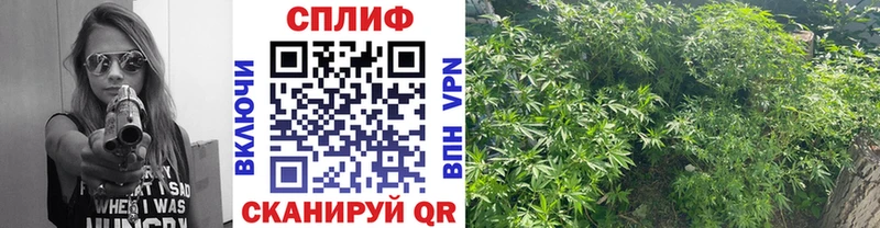 ссылка на мегу вход  что такое   Калач-на-Дону  Марихуана конопля 